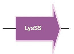 Part:BBa K4607010 - parts.igem.org