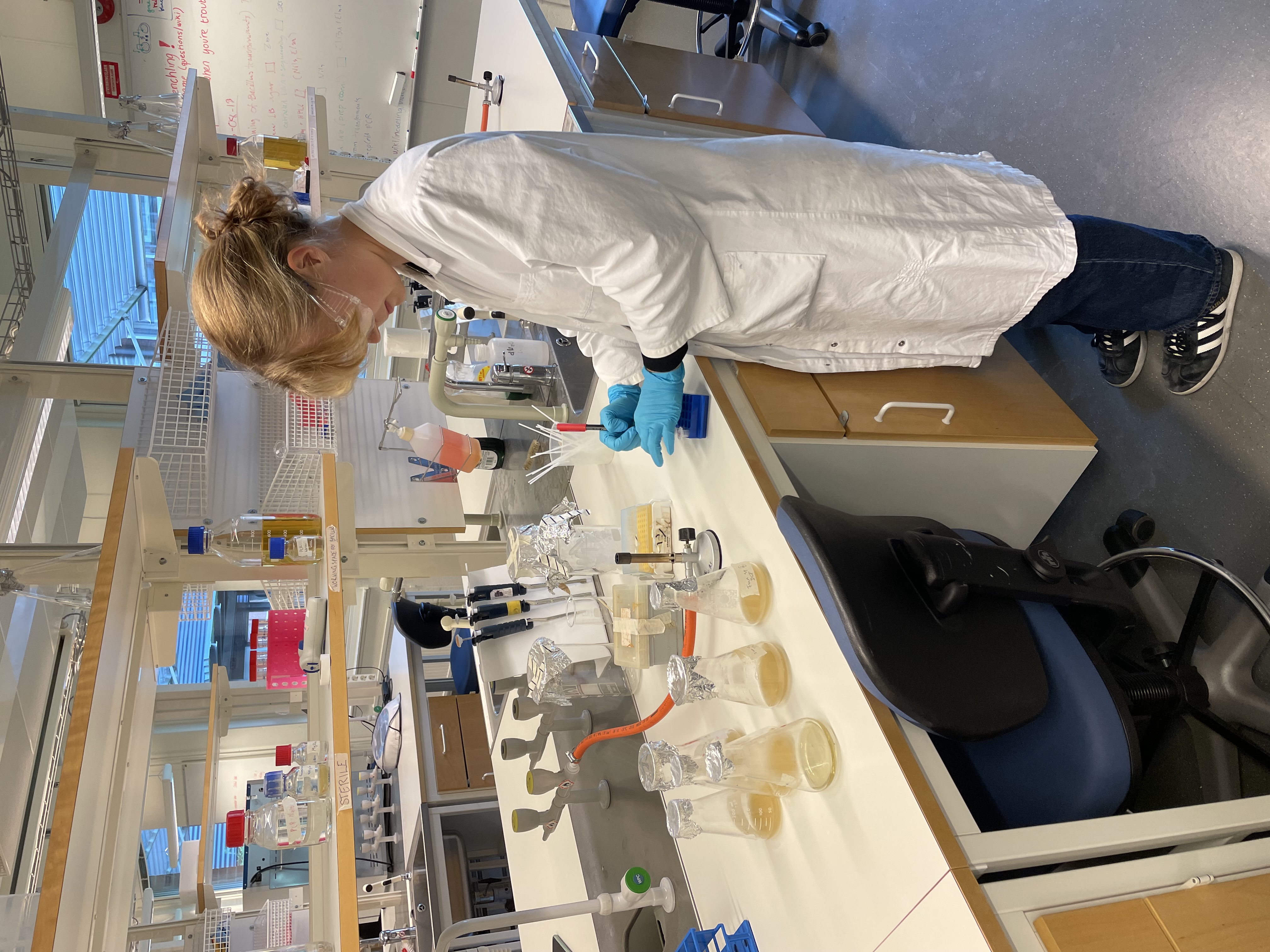 Lab