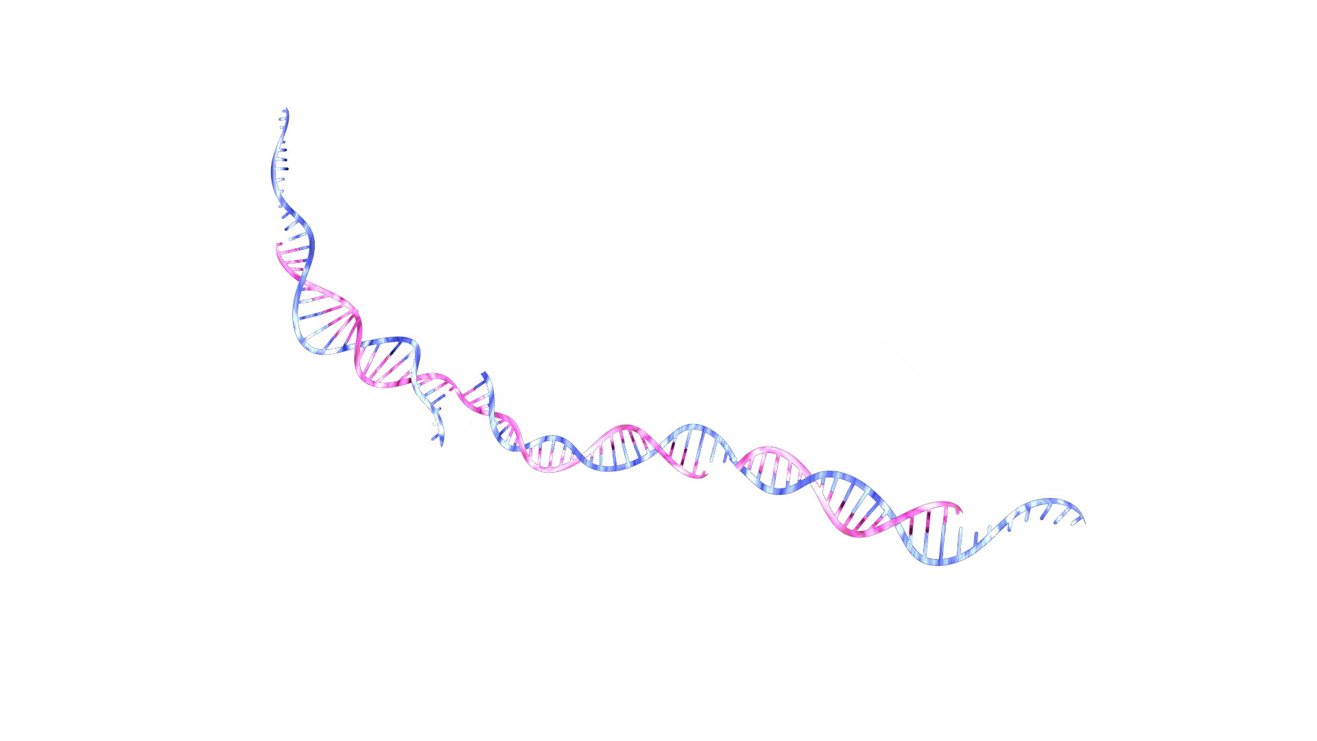 Home NJU China IGEM 2023