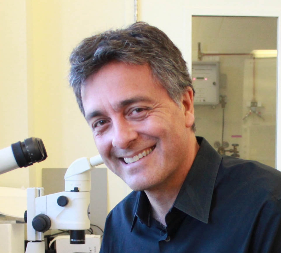 Dr. Albert Folch