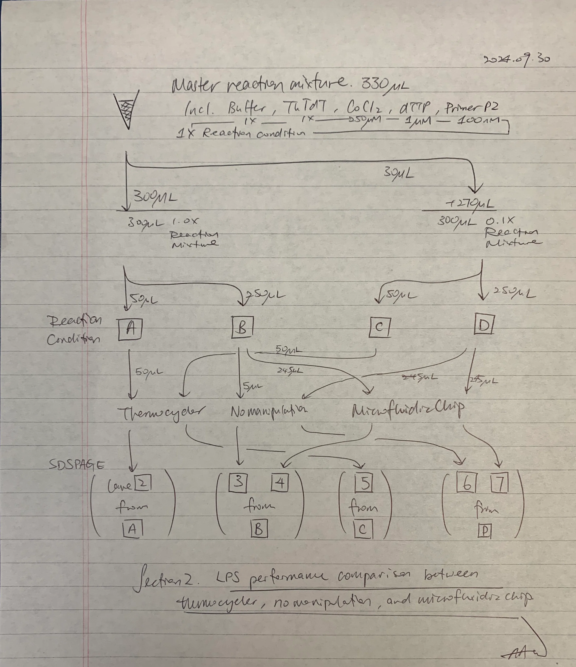 Figure 28. Experimental plan to study the effect of reaction manifold (thermocycler, no manipulation, and microfluidic chip) on ThTdT 3’-elongation activity with Primer P2 /56FAM/AGCCTGTTGTGAGCCTCCTAAC.