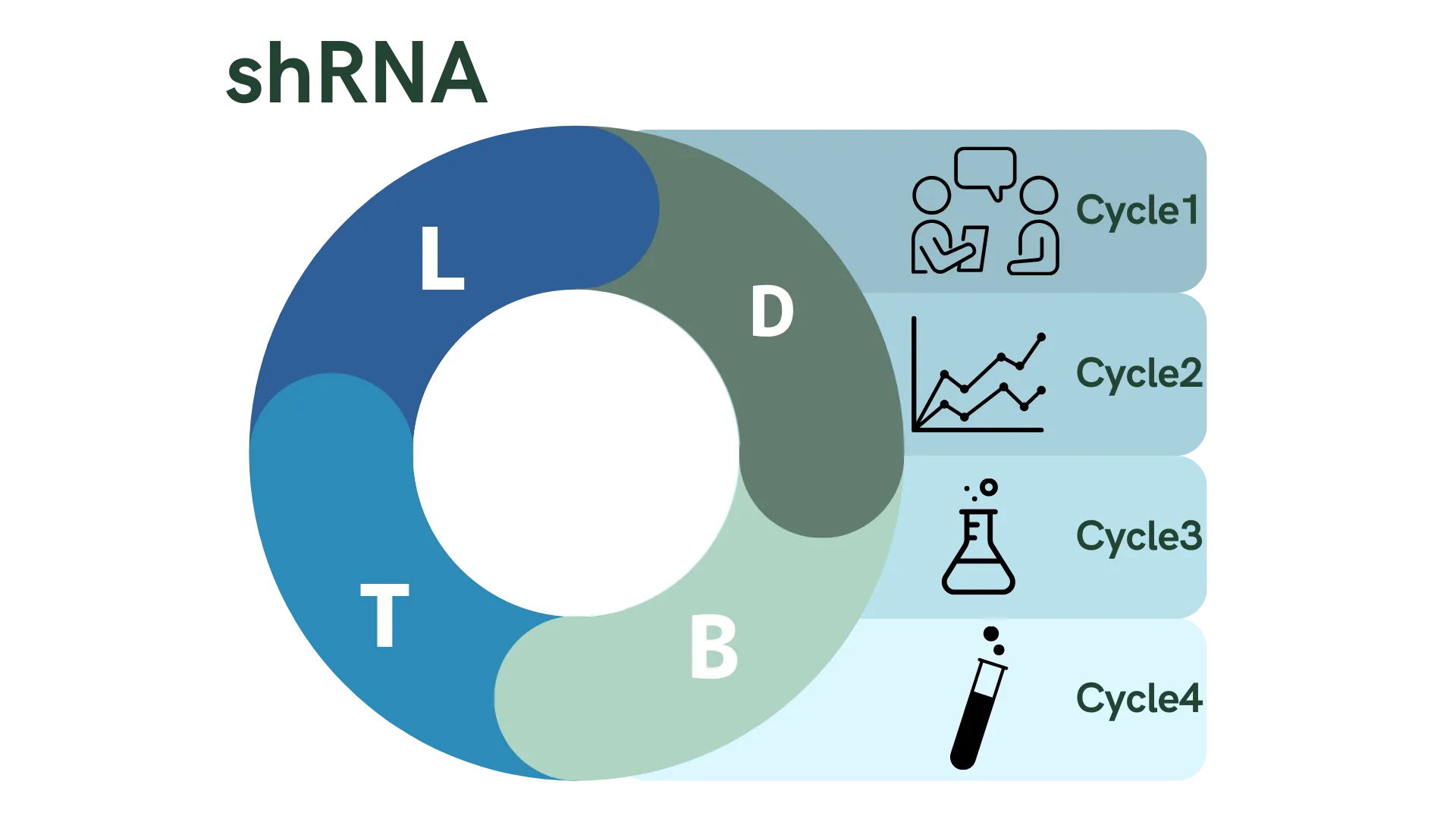 Figure 1. Encapsulation of shRNA DBTL cycle