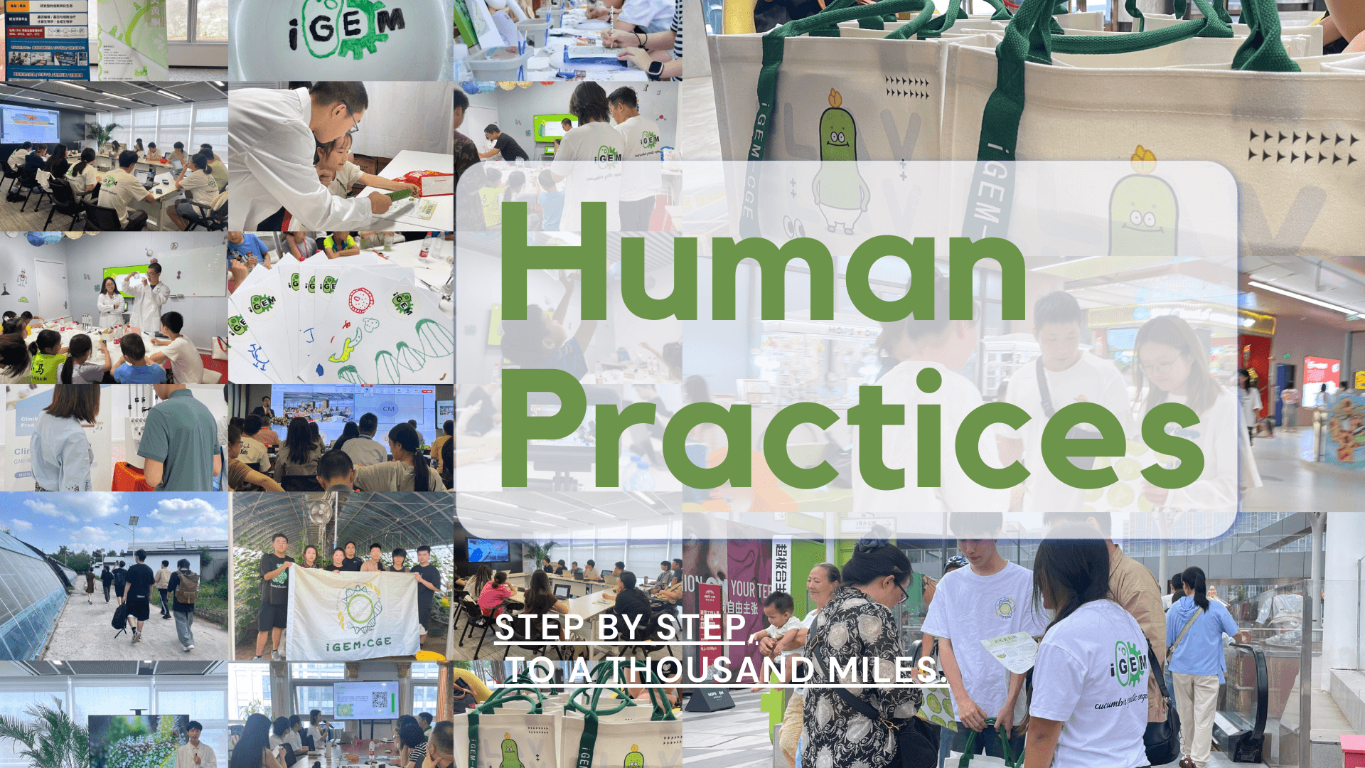 Human-Practices | RainsACA-China - iGEM 2024