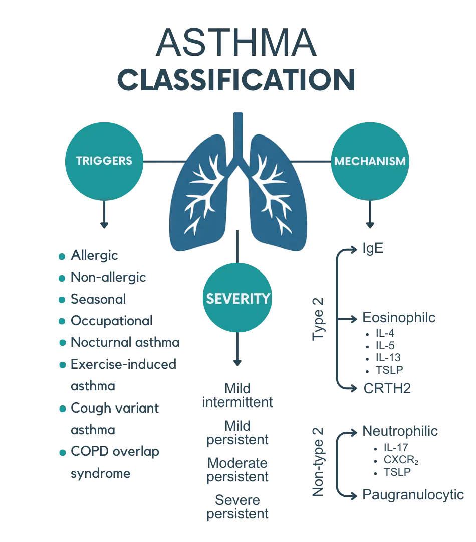 Project Description | AFCM-Egypt - iGEM 2025