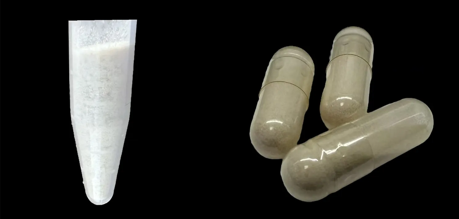 JLU-CP iGEM 2025