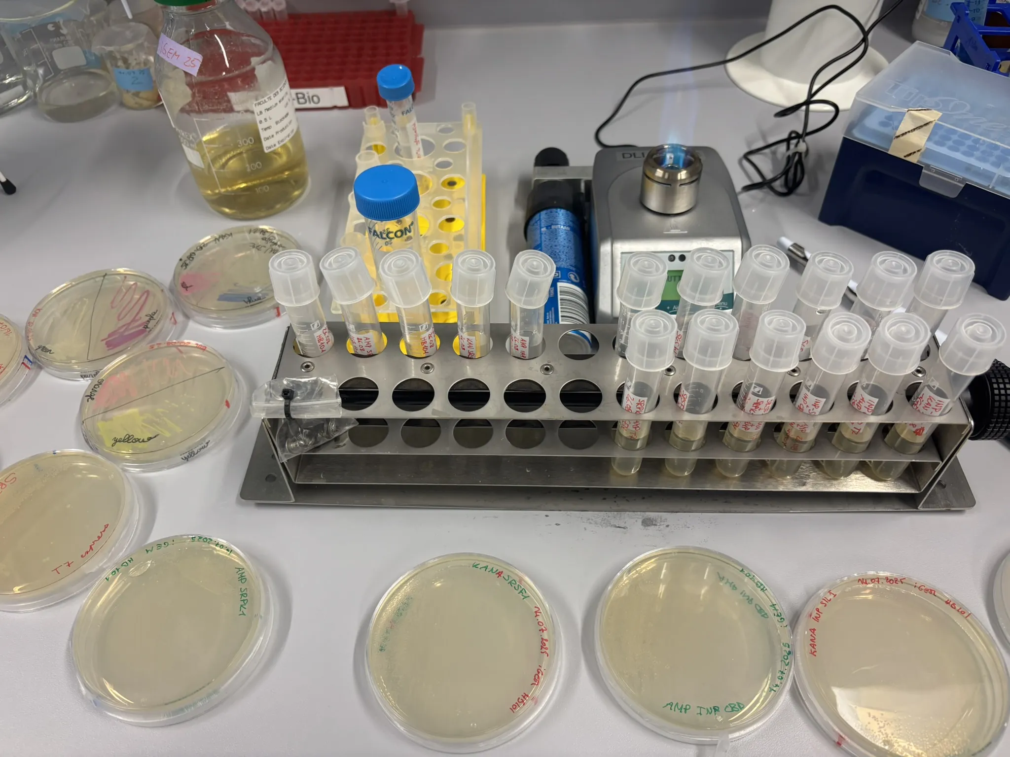 Microbiology Inoculation Machine PYRONIX - iGEM 2025