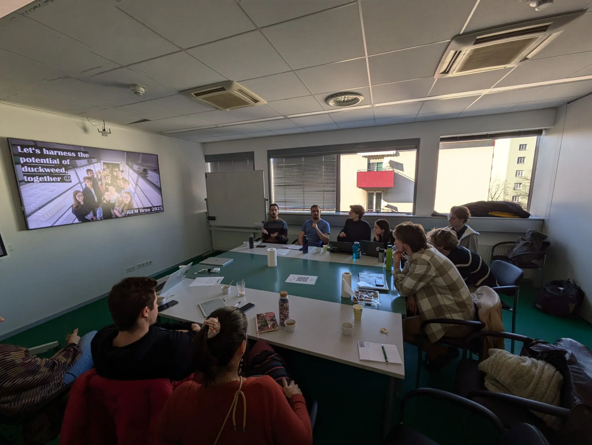 iGEM Brno 2025