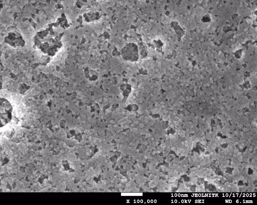 Fig 131. Nanoformulation (prepared on 29th September) visualized at 100,00x magnification (5 μL sample)
