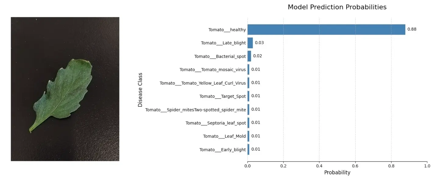 leaf-probabilities.webp (1454×593)