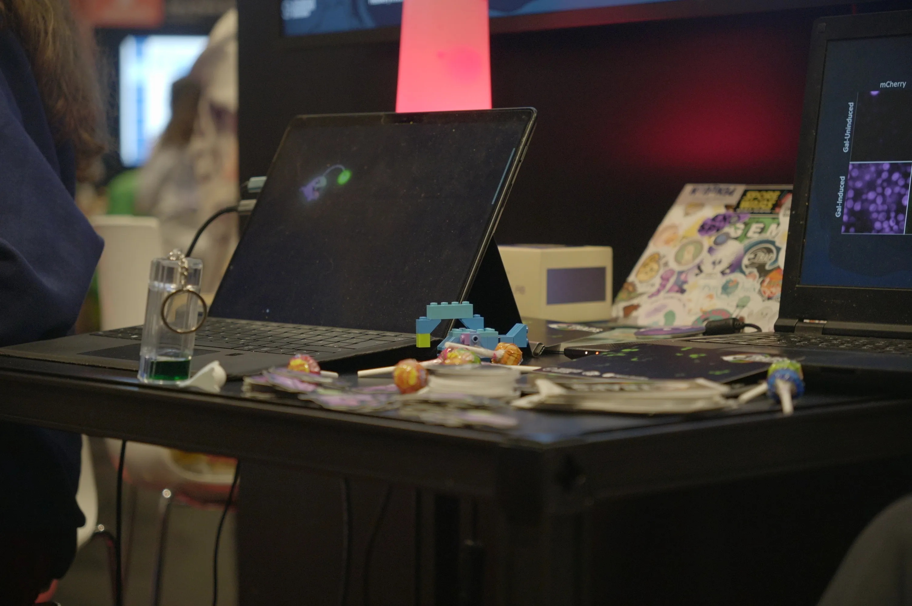 TRAPS' table at the booth with stickers, postcards, laptops and equipment to explain our project.