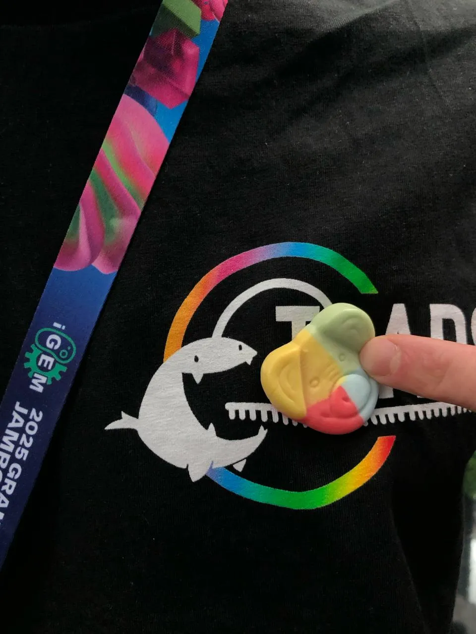 TRAPS' logo looks like it is eating a piece of gummy candy