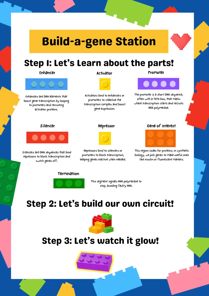 Lego Genetics NUS-Singapore - iGEM 2025
