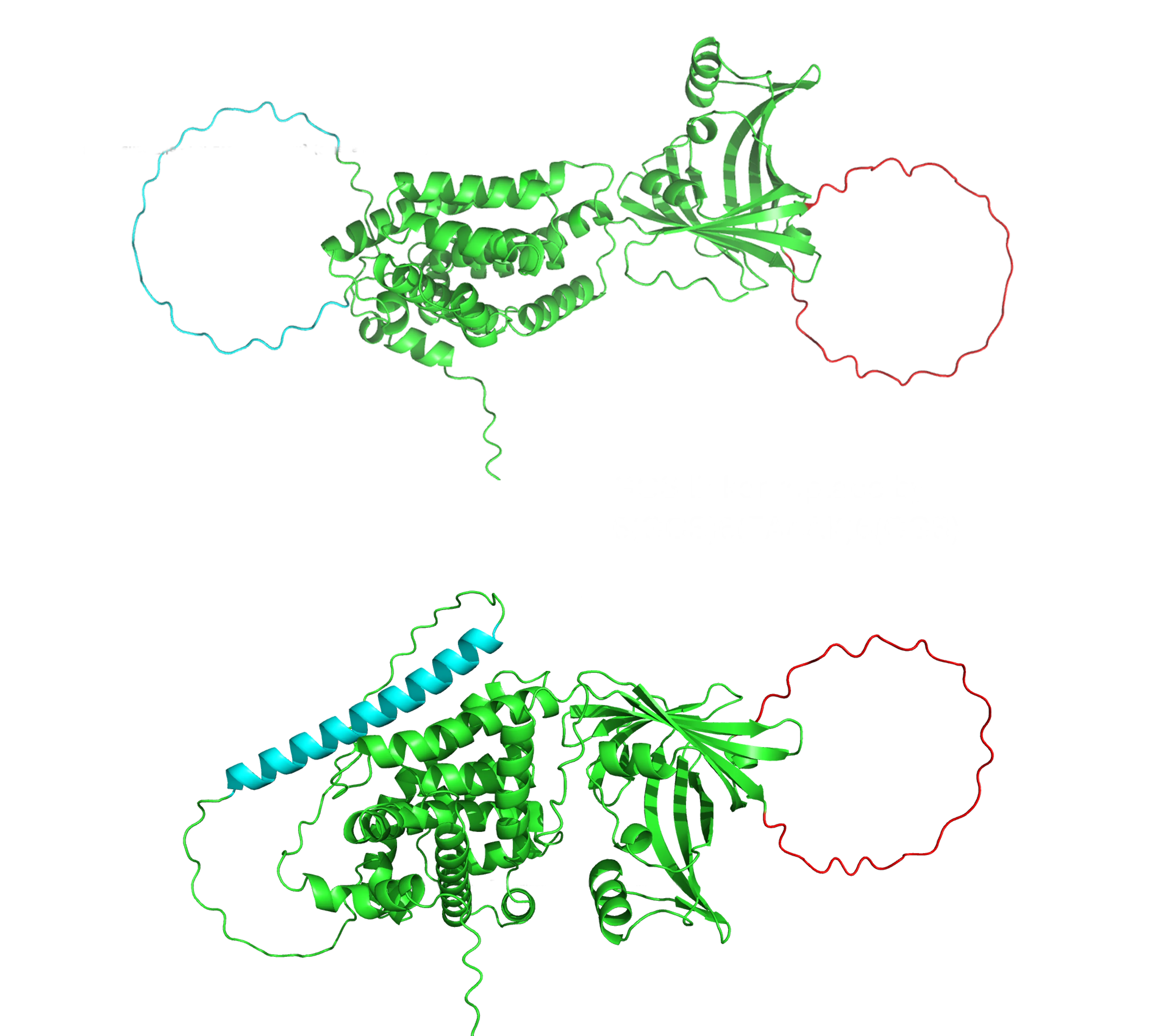 TU-Eindhoven - iGEM 2025