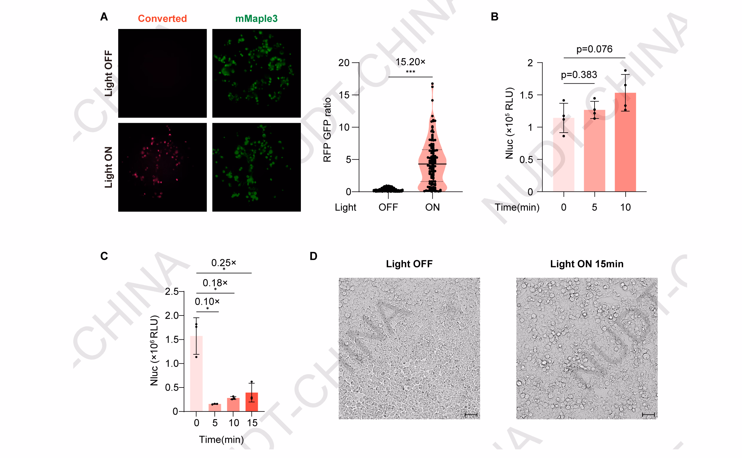 mMaple Photolytic protein results