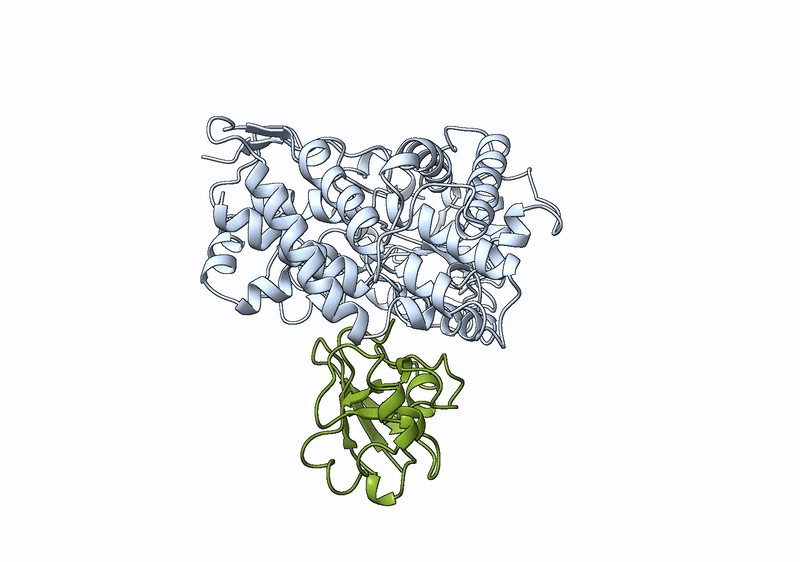 Optimal docked model of the TxtE-Fdx complex