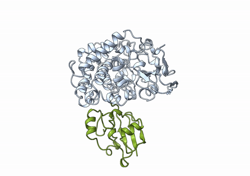 Molecular dynamics trajectory plot