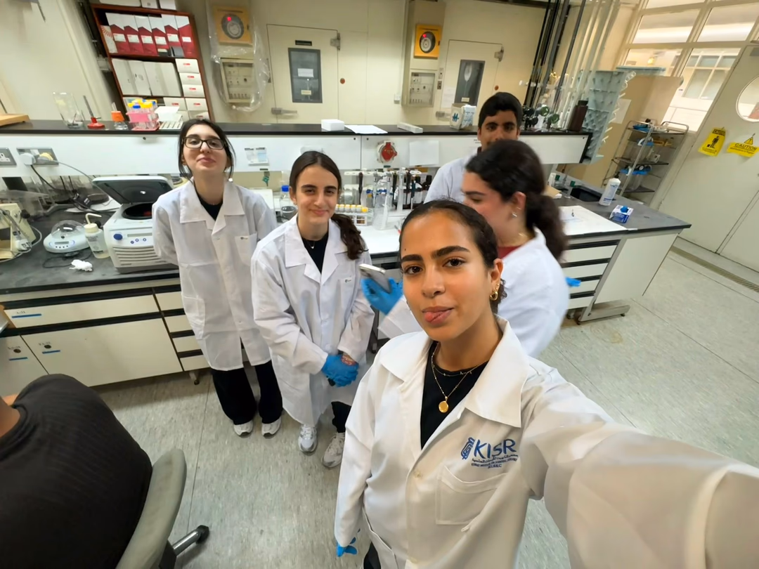 Desert soil and plant growth representing sustainable agriculture in Kuwait