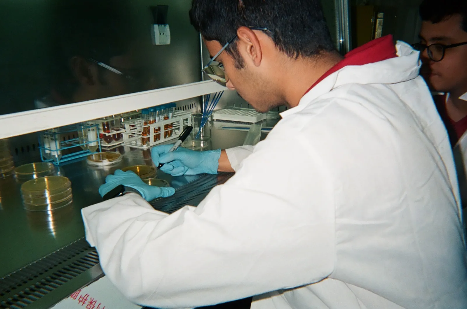 Labeling petri dishes under sterile hood at KISR. Safety goggles and gloves always on!