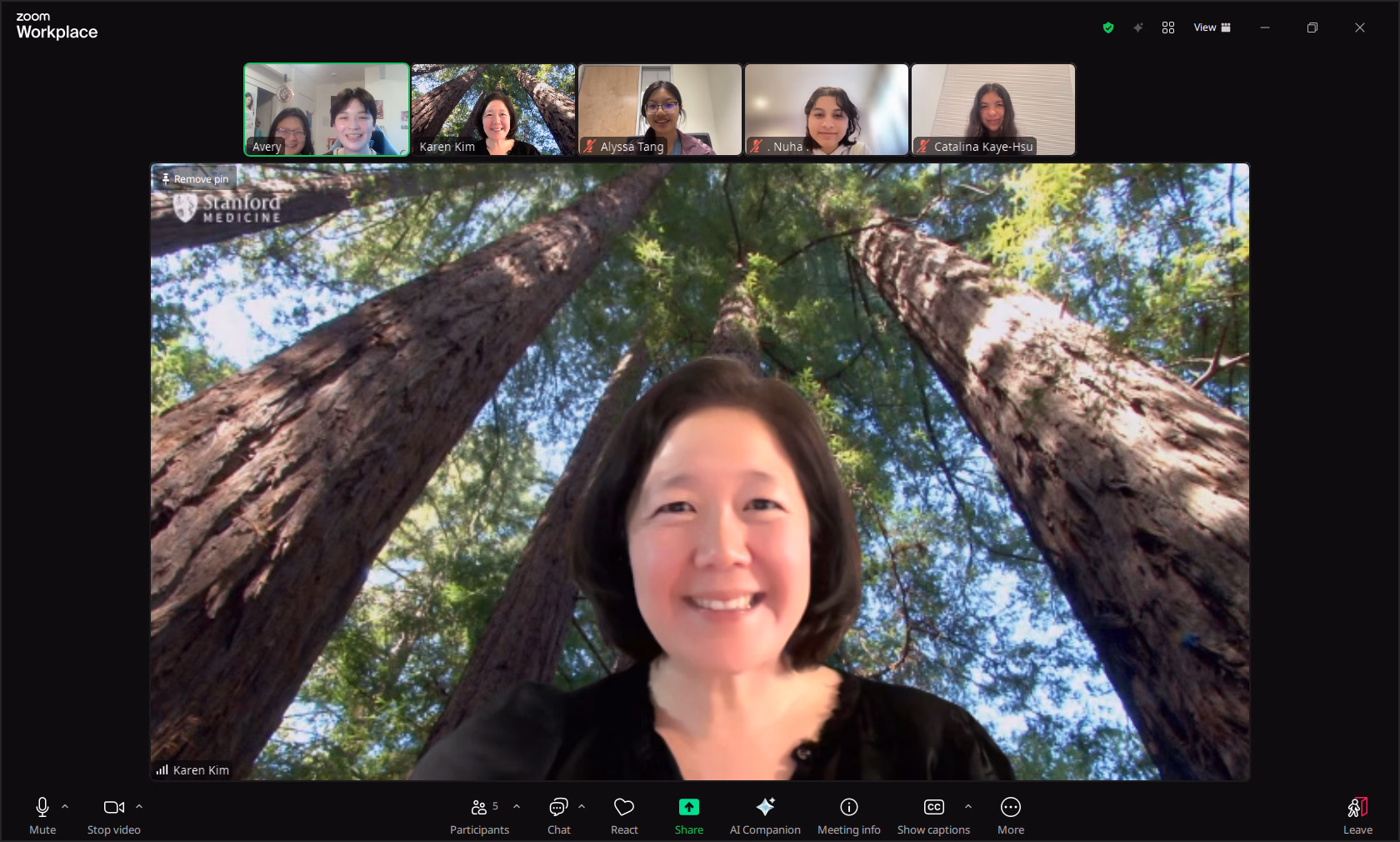 Screenshot of a zoom meeting with Karen Kim and members of the team.
