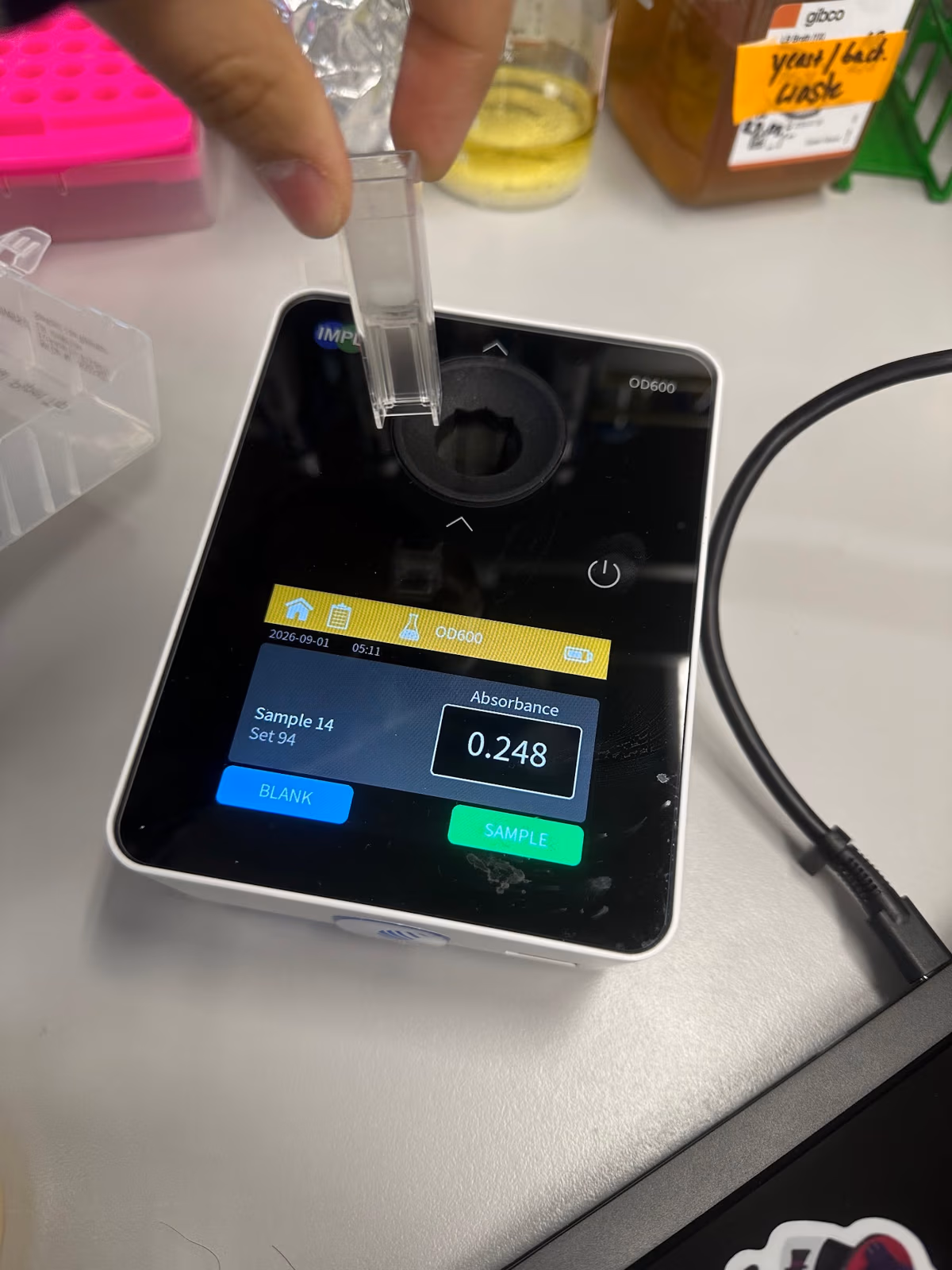 Spectrophotometer reading of a culture