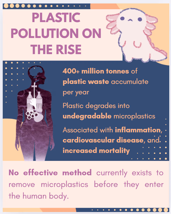 Instagram slide titled Plastic pollution on the rise, with an axolotl and facts about microplastics in the body