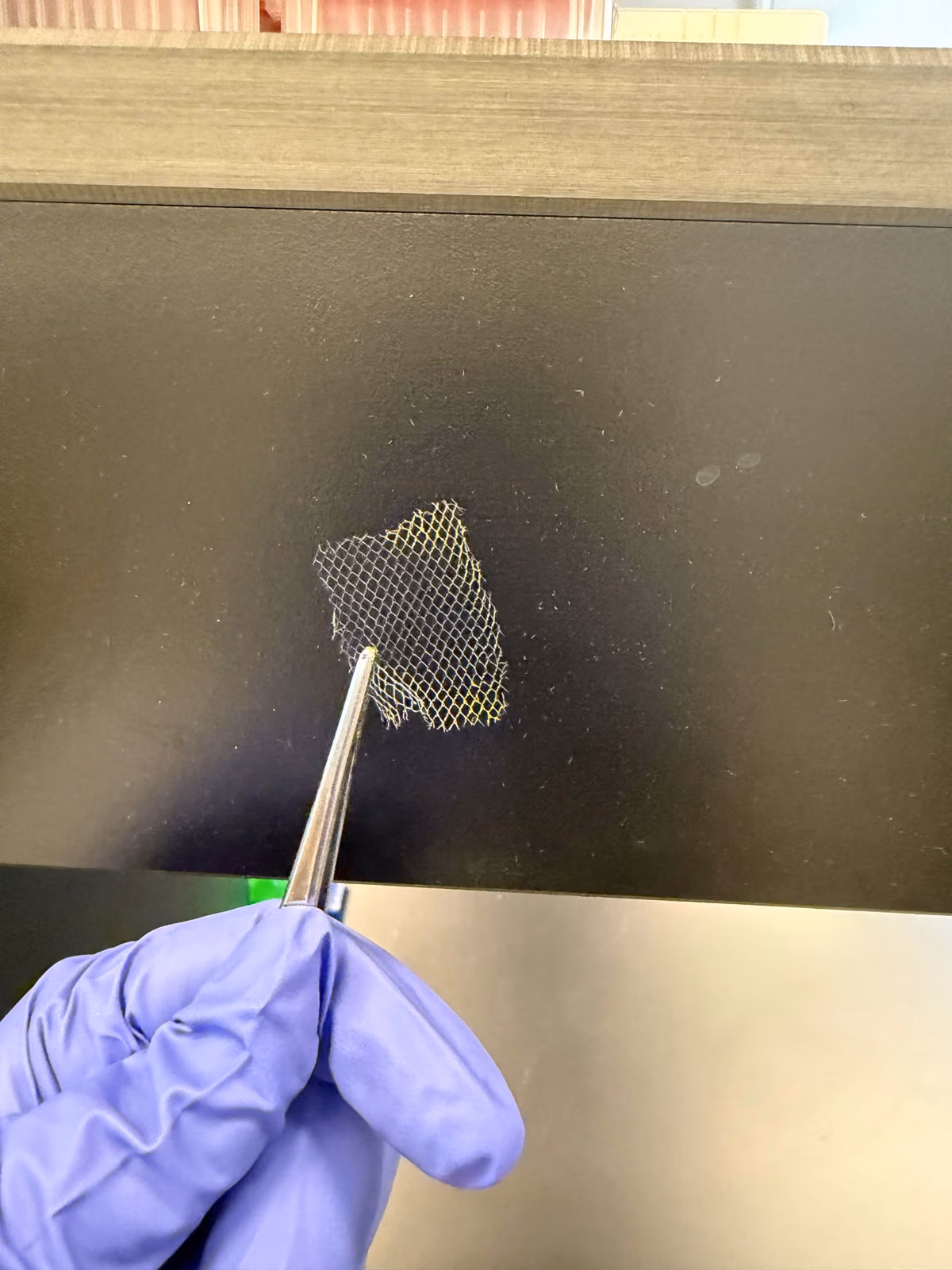 Stained PET mesh held with tweezers