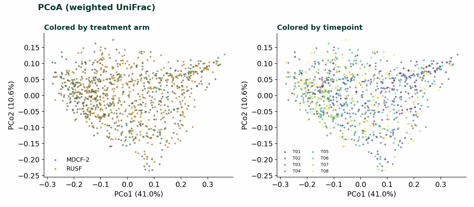 Two principal coordinates panels on weighted UniFrac: coloured by arm the diets overlap entirely, coloured by timepoint the communities order by time.