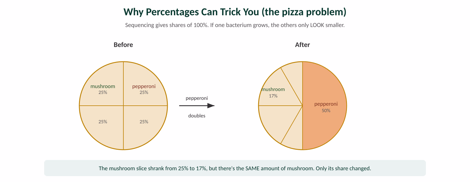 Pizza diagram showing that doubling one topping lowers every other topping's share without changing its amount.