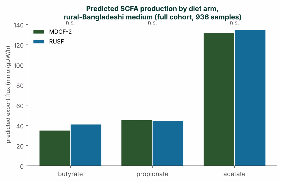 Grouped bars of predicted short-chain fatty acid production by diet arm on the rebuilt rural-Bangladeshi medium, with no arm separating.