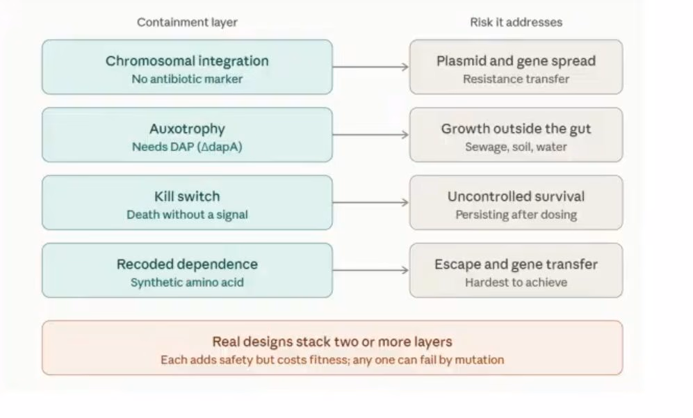 Four paired rows matching a containment layer to the risk it addresses: chromosomal integration, auxotrophy, a kill switch, and recoded dependence.