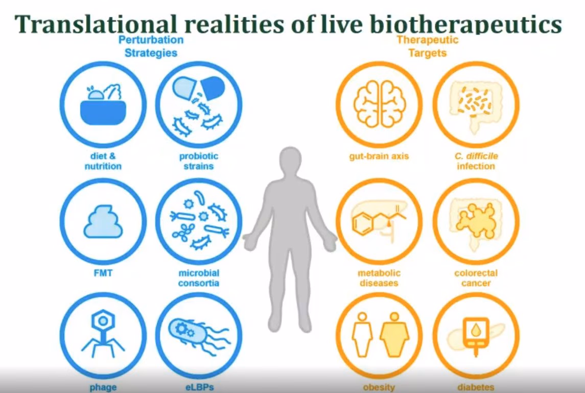 Two columns of icons flanking a human figure: perturbation strategies on the left and therapeutic targets on the right.