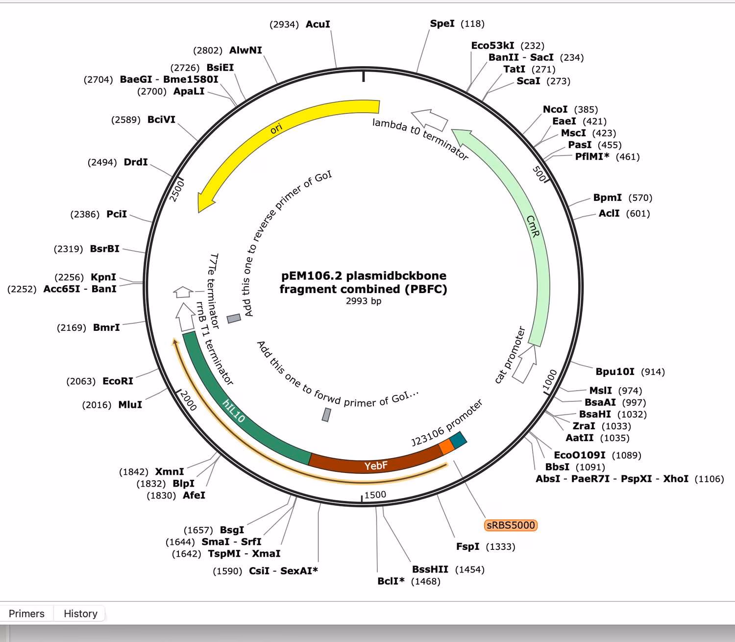Annotated circular plasmid map of the pEM106.2 backbone showing restriction sites and features.