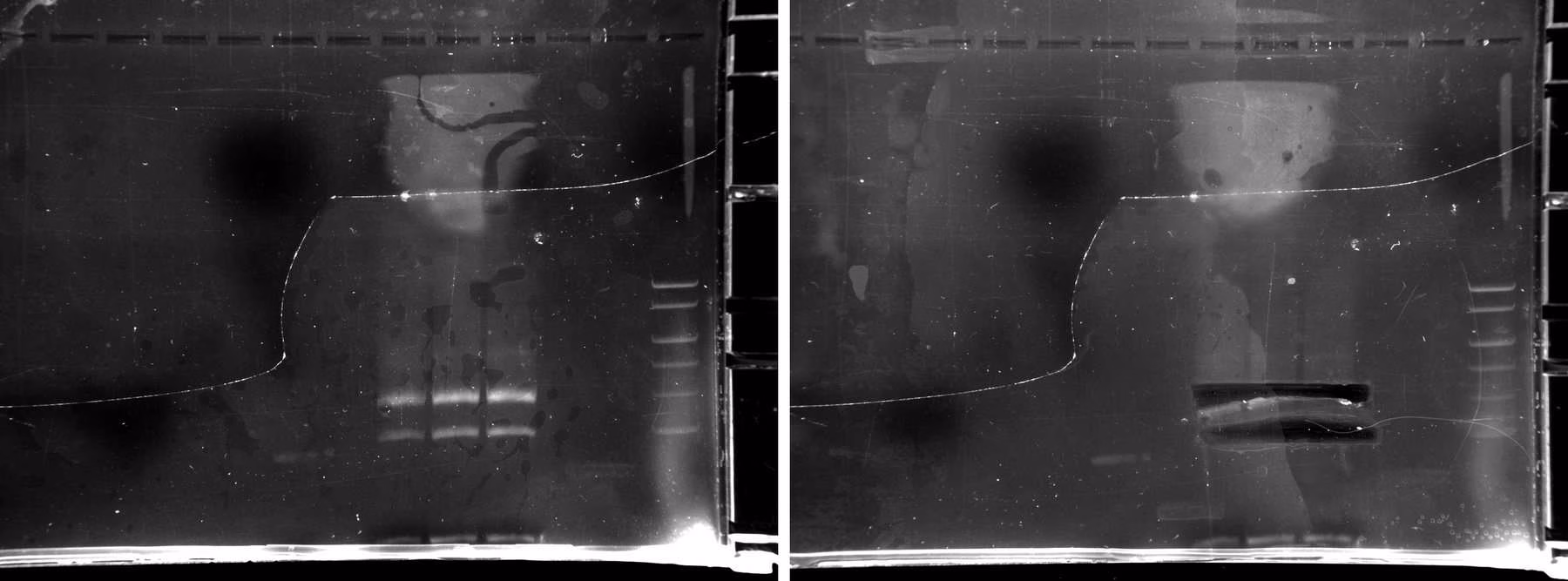 Two gel images showing bands present and then excised, leaving dark slots.