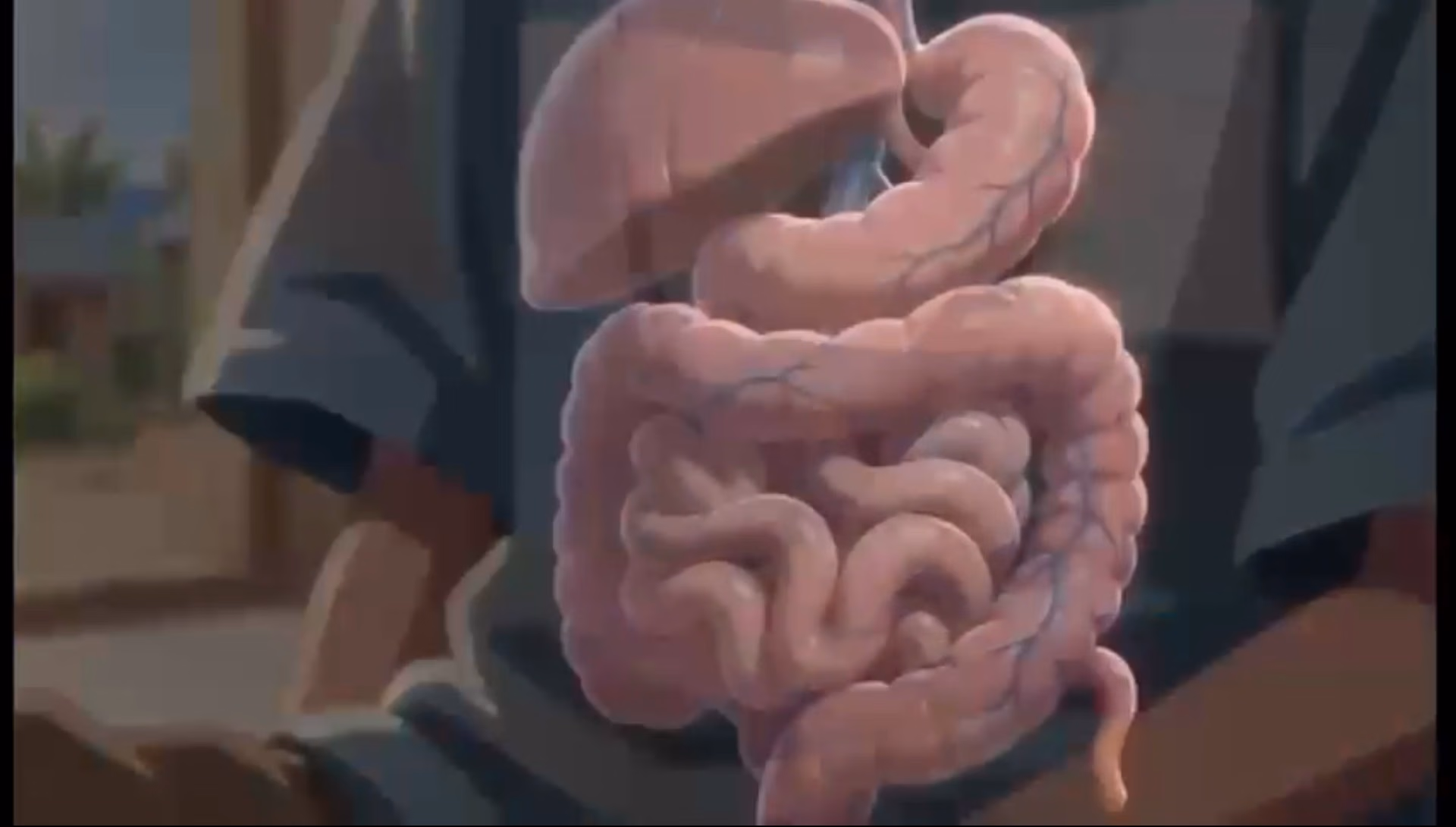Illustration of a child's small and large intestine, seen through the body.