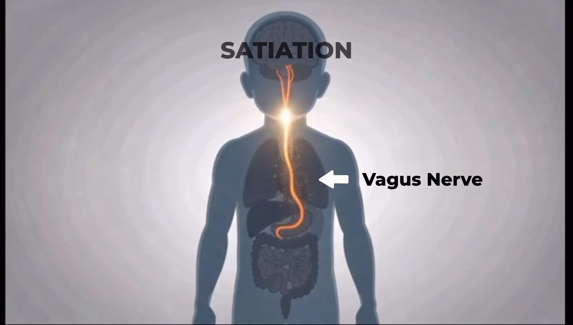 A child's silhouette with the vagus nerve lit, running from the gut up to the brain.