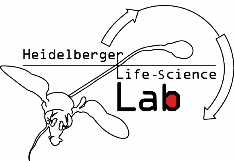 Sponsors | Heidelberg - iGEM 2026