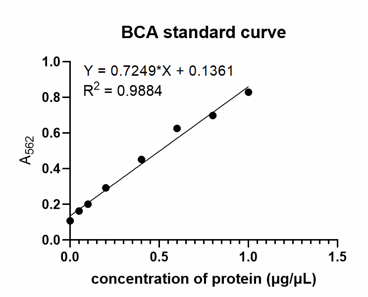 Agarose gel result for the butyrate construct